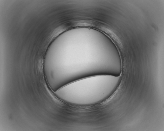 X0000112811233200908210931