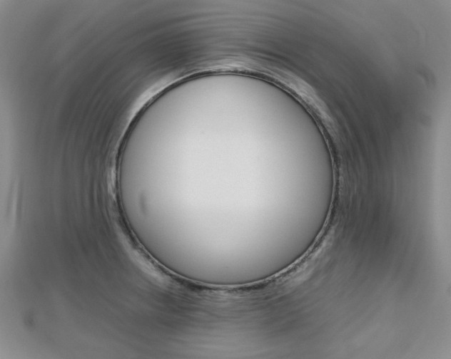 X0000112811234200908210931