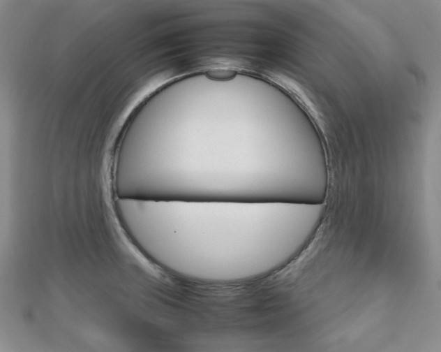 X0000112811235200908210931