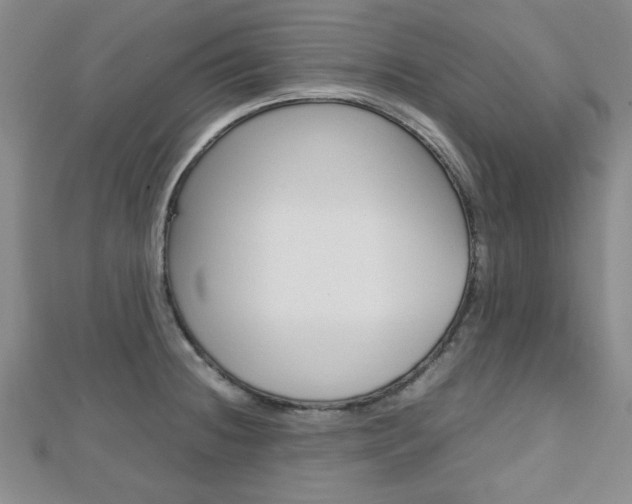 X0000112811236200908210931