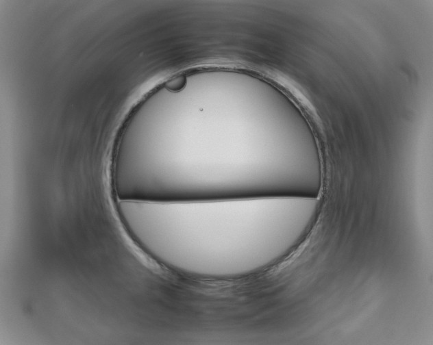 X0000112811237200908210931