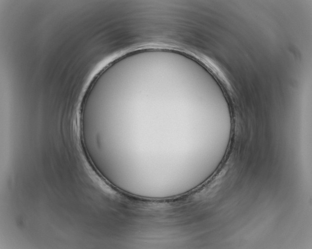 X0000112811238200908210931