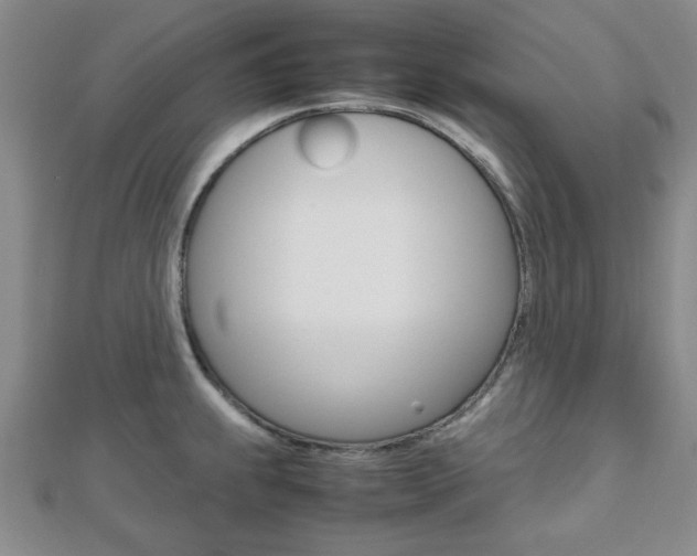 X0000112811239200908210931
