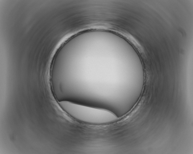 X0000112811240200908210931