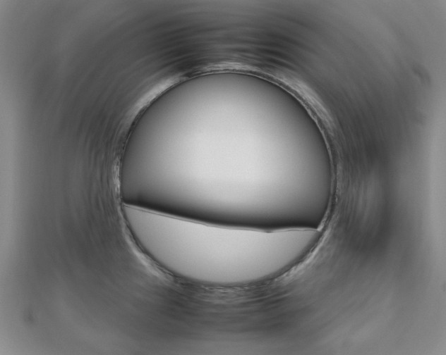 X0000112811241200908210931