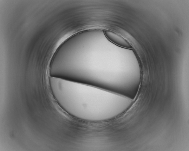 X0000112811242200908210931