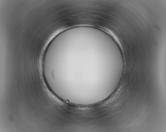 X0000112811243200908210931