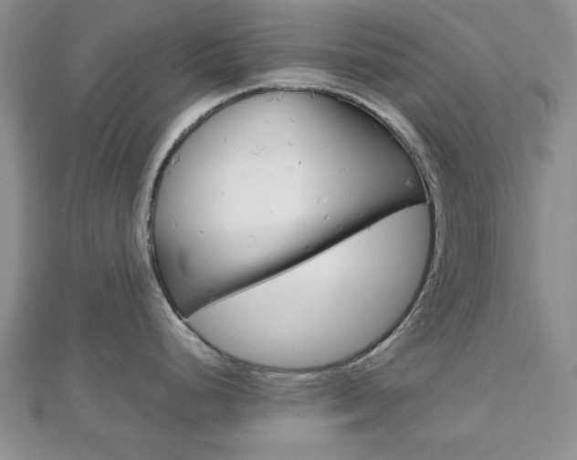 X0000112811248200908210931