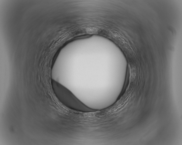 X0000112811249200908210931