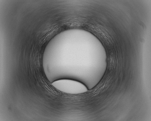 X0000112811250200908210931