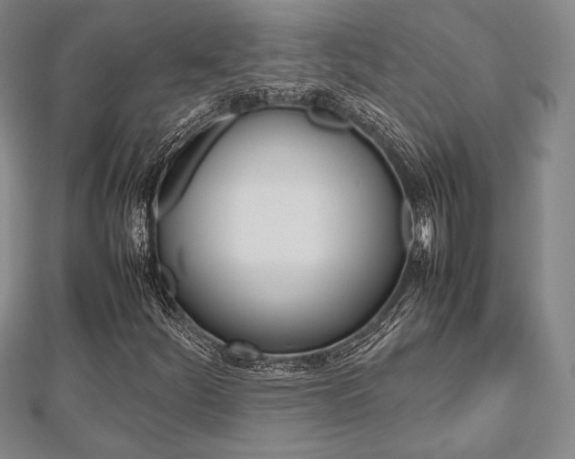 X0000112811252200908210931