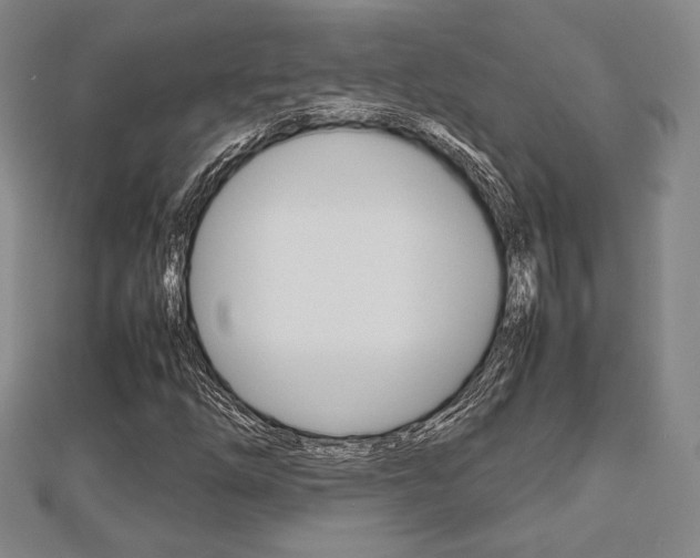 X0000112811254200908210931