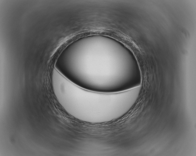X0000112811256200908210930
