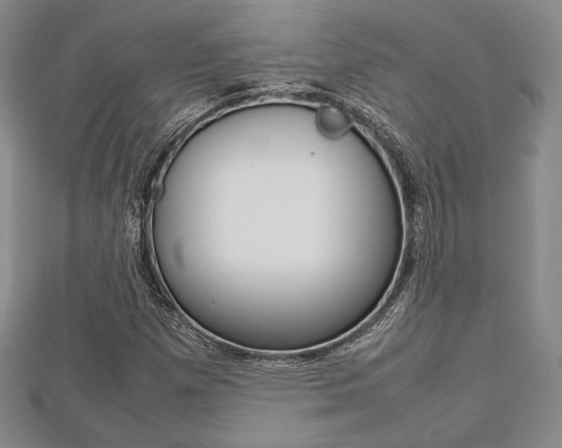 X0000112811257200908210930