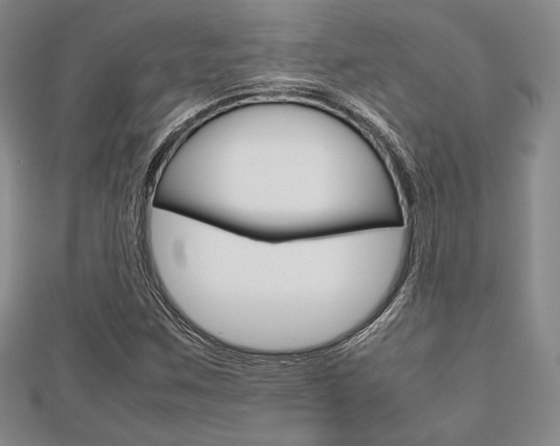 X0000112811259200908210930