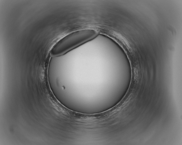 X0000112811260200908210930