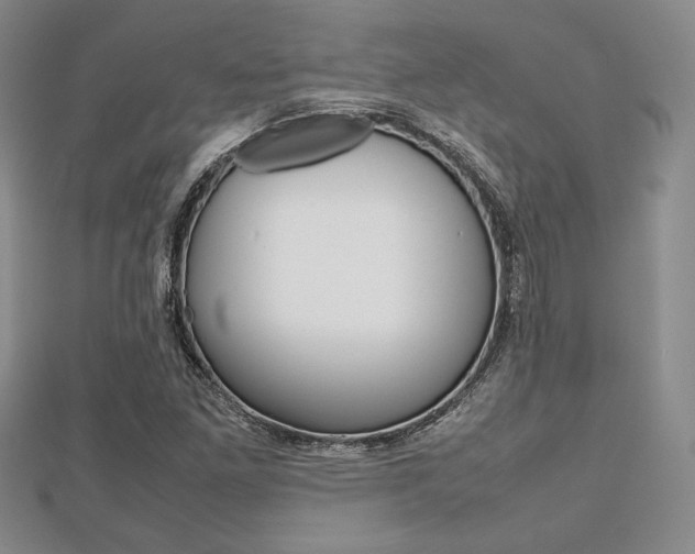 X0000112811261200908210930