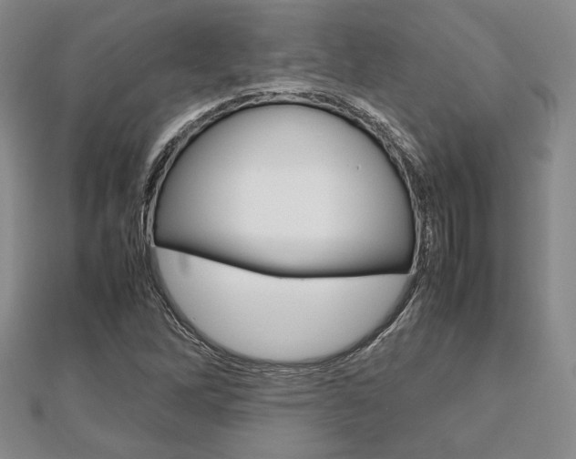 X0000112811262200908210930
