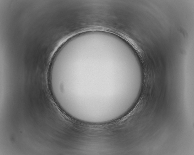 X0000112811264200908210930