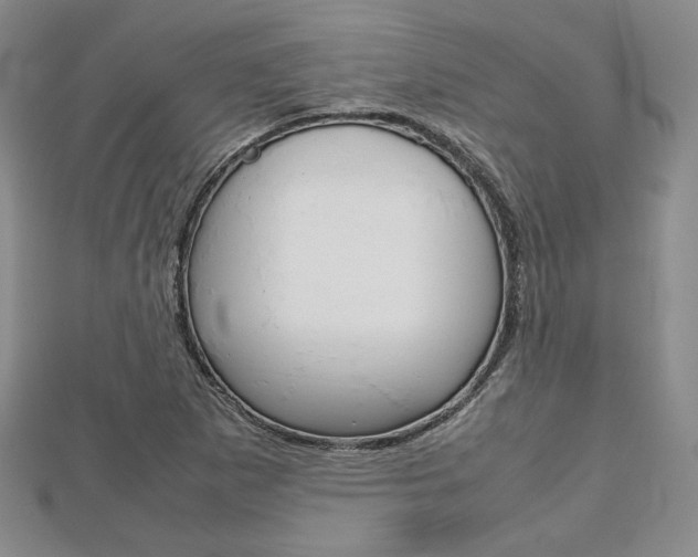 X0000112811265200908210930