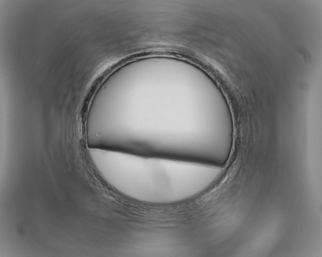 X0000112811267200908210930