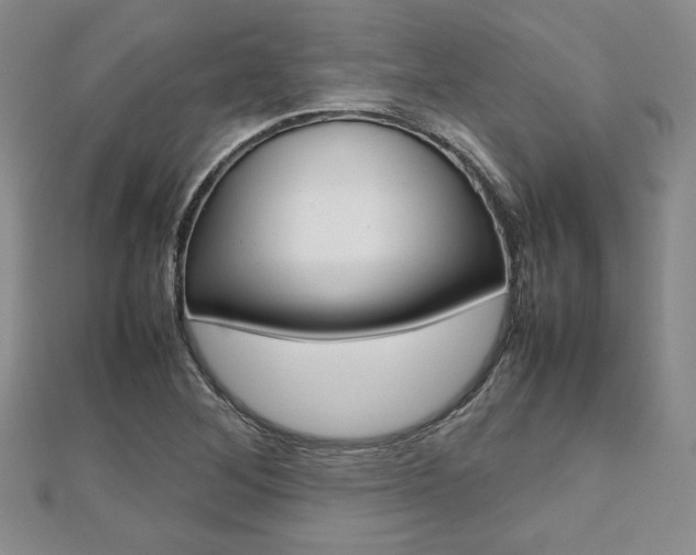 X0000112811268200908210930