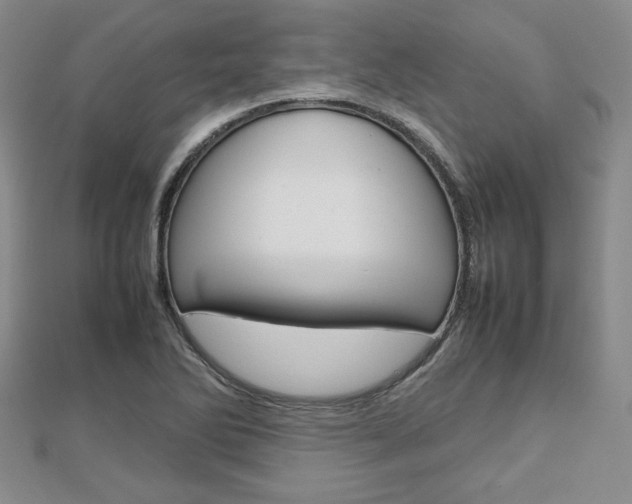 X0000112811270200908210930