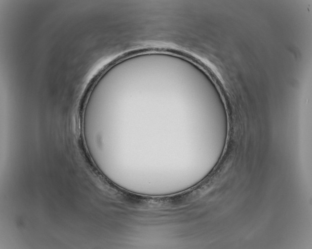 X0000112811271200908210930