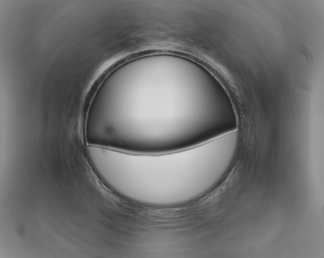 X0000112811272200908210930