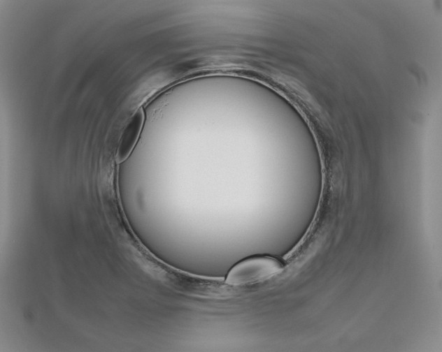 X0000112811273200908210930