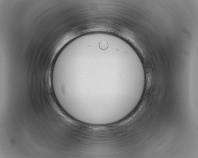 X0000112811274200908210930