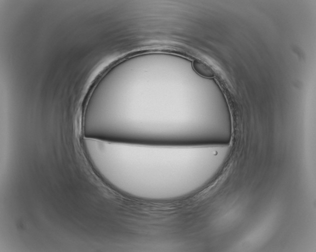 X0000112811275200908210930