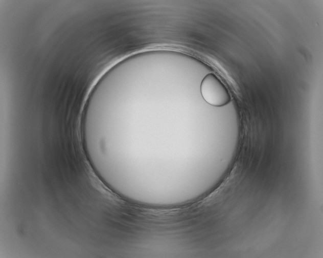 X0000112811276200908210930