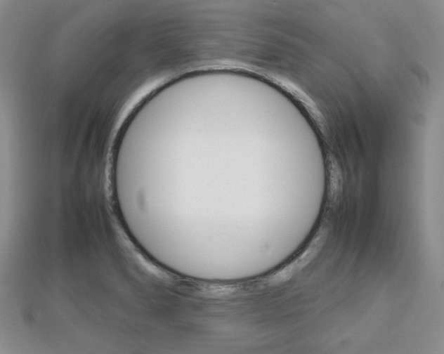 X0000112811278200908210930
