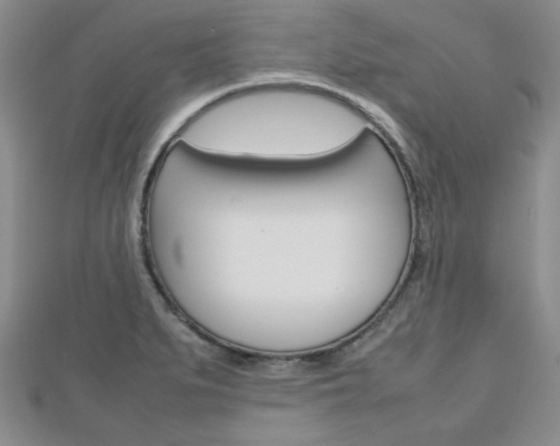X0000112811279200908210930