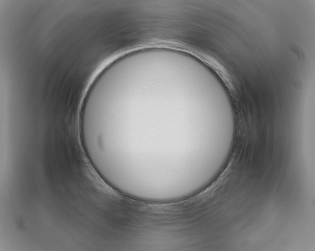 X0000112811280200908210930