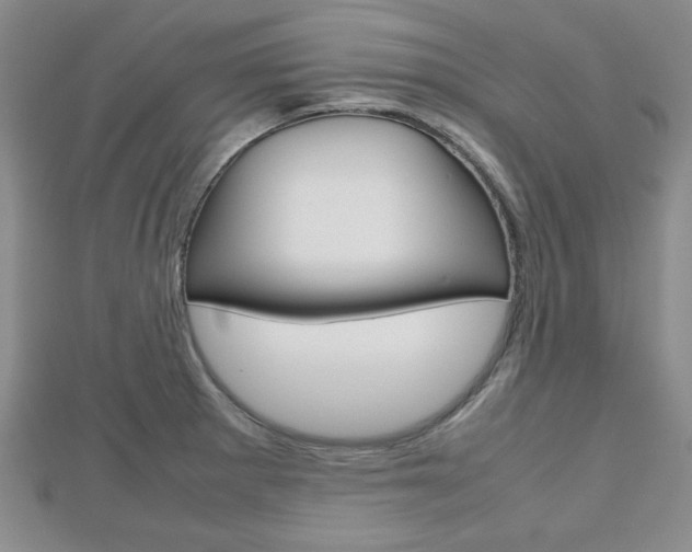 X0000112811281200908210930