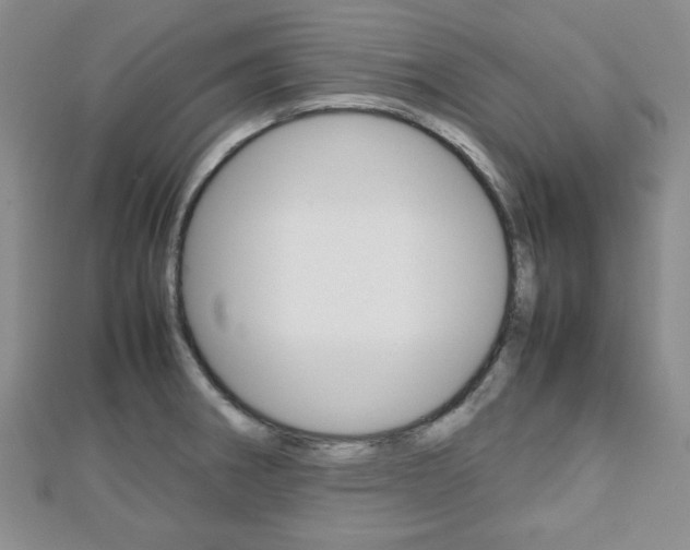 X0000112811282200908210930