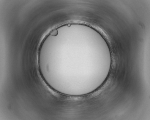 X0000112811286200908210930