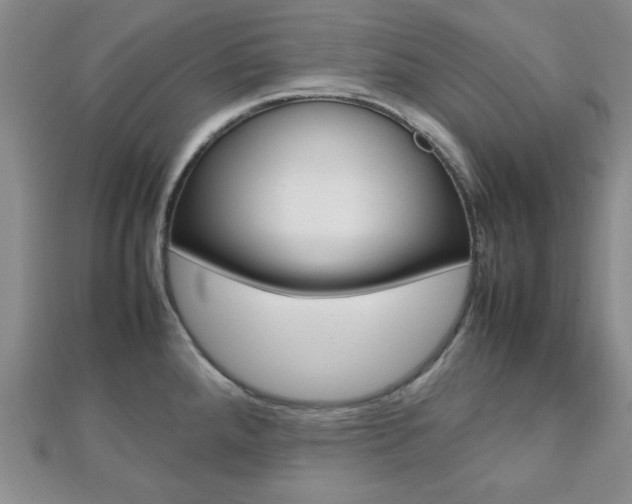 X0000112811288200908210930