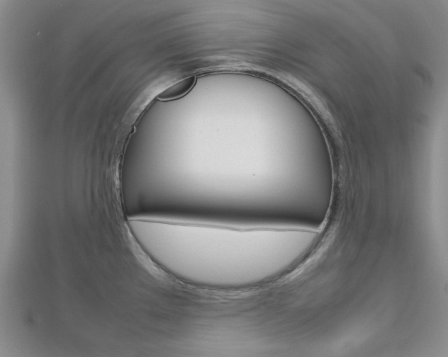 X0000112811289200908210930