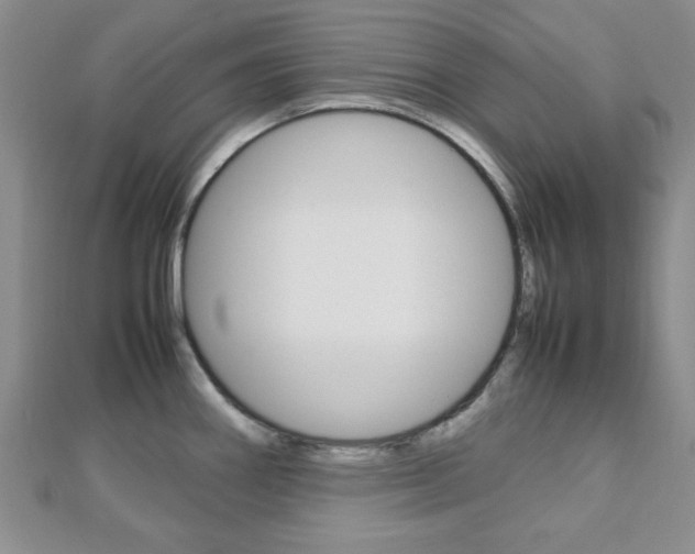 X0000112811290200908210930