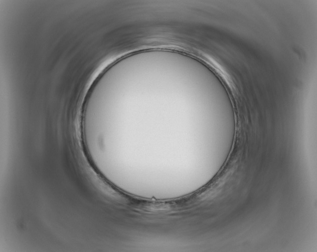 X0000112811291200908210930