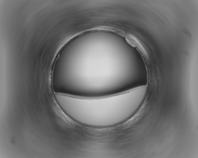 X0000112811292200908210930