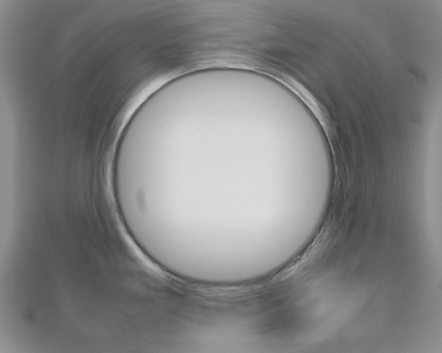 X0000112811293200908210930