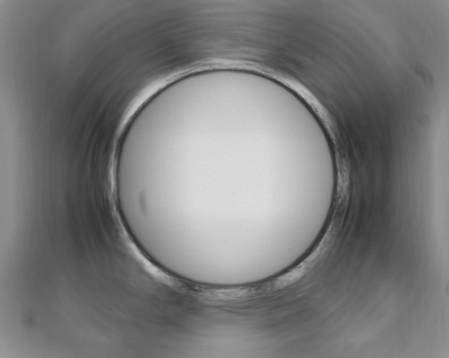 X0000112811294200908210930