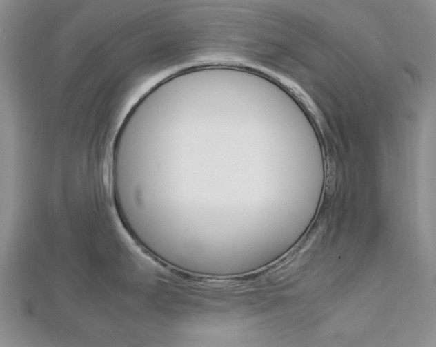 X0000112811295200908210930
