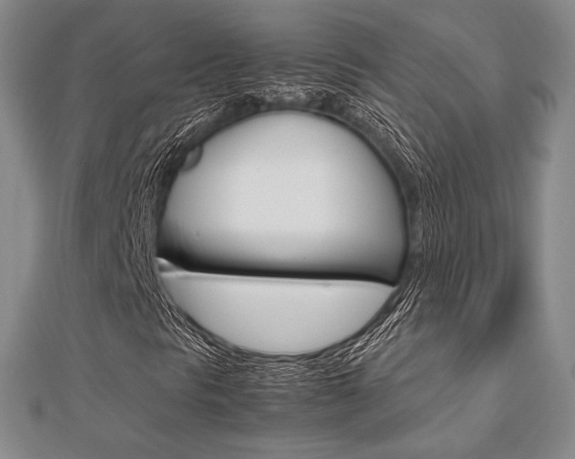 X0000112811297200908210929