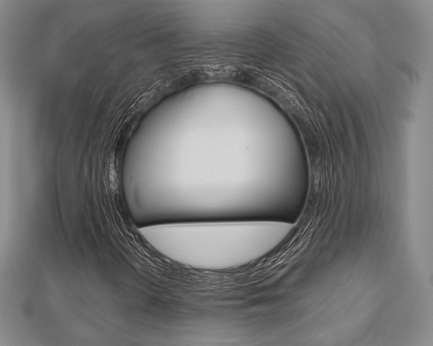 X0000112811298200908210929