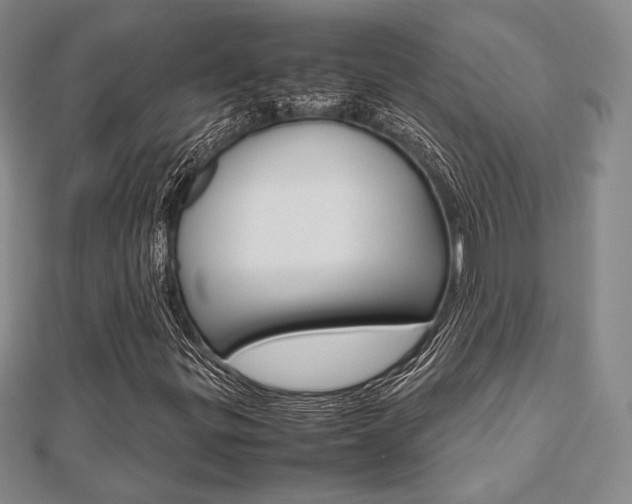 X0000112811299200908210929